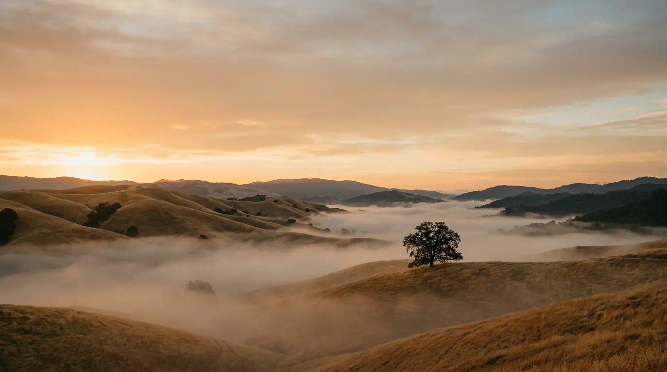 Fog rolling through the golden foothills above Silicon Valley at dawn